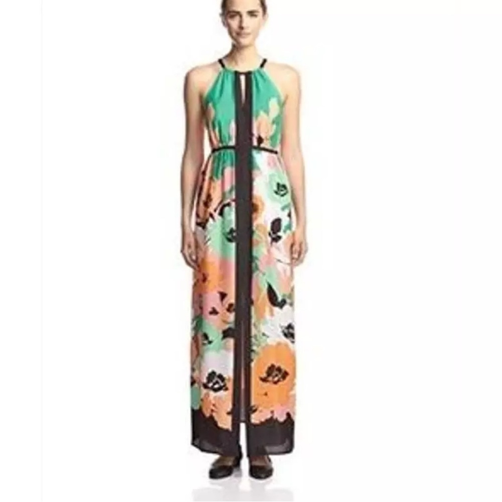 Susana Monaco Floral Maxi Dress - Green, Pink, Black